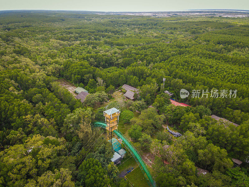 在越南Can Gio的Vam Sat的红树林鸟瞰图。美丽的大自然与唐邦森林瞭望塔。